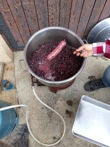 Que s'est -t-il passé depuis la fin des vendanges au Domaine du Père Lathuilière ?